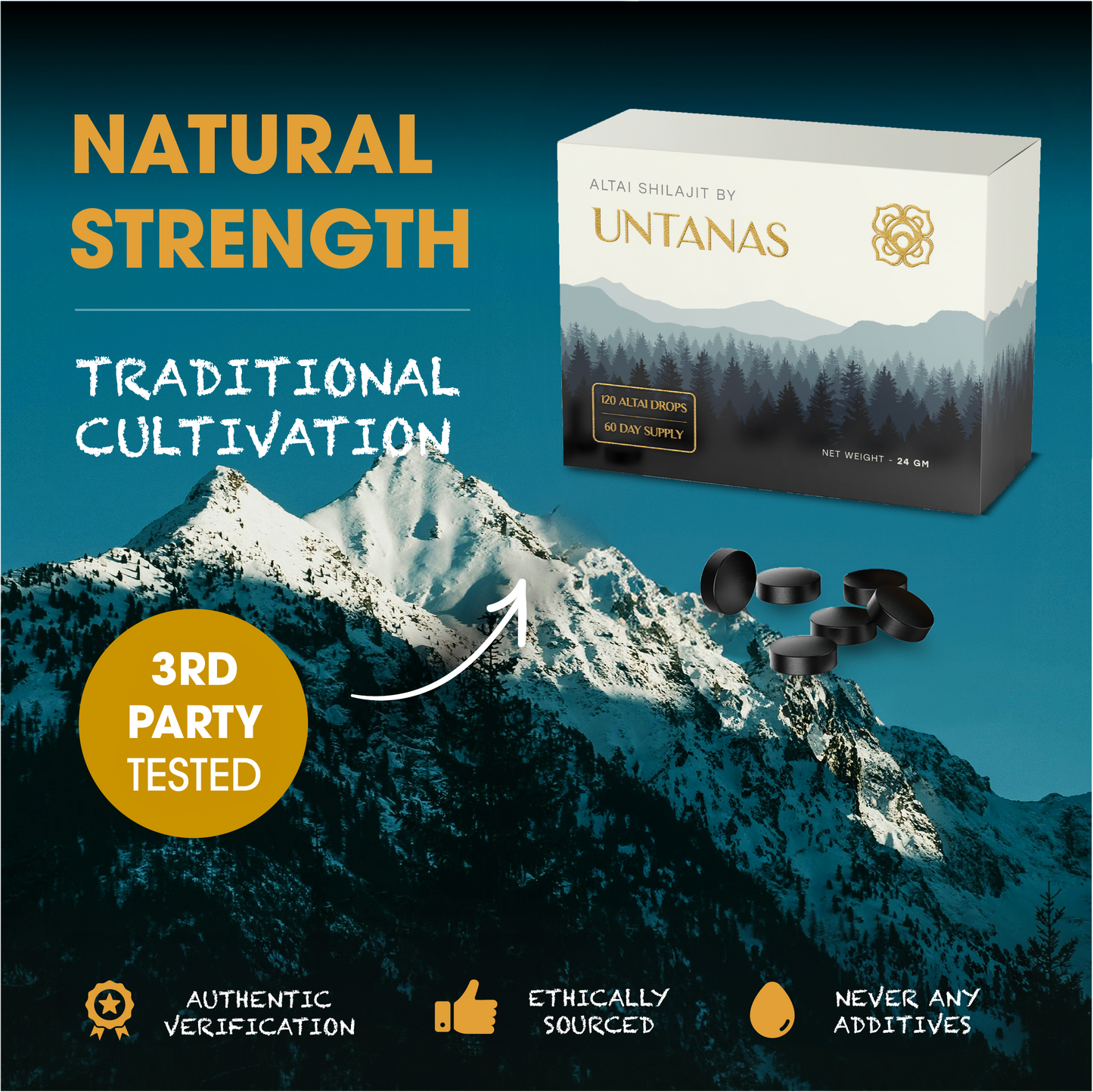 Shilajit Pills